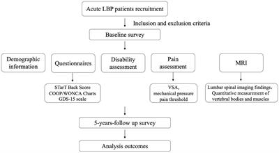 Multidimensional risk factor analysis of acute low back pain progressing to chronicity: a longitudinal cohort study protocol